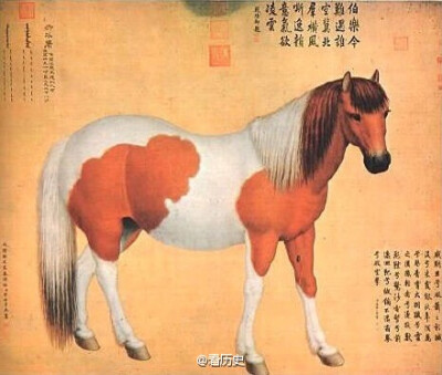 【宫廷画师郎世宁的十大骏马图 】据《国朝院画录》的记载，乾隆八年（1743），郎世宁奉命画《十骏图》十轴，画的是蒙古外藩所进贡的骏马。这十大《骏马图》现藏台北“故宫博物院”。好肥的马呀！