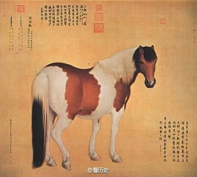 【宫廷画师郎世宁的十大骏马图 】据《国朝院画录》的记载，乾隆八年（1743），郎世宁奉命画《十骏图》十轴，画的是蒙古外藩所进贡的骏马。这十大《骏马图》现藏台北“故宫博物院”。好肥的马呀！