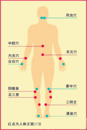 【人体十大养生穴】 湖北省中医院赵焰总结出十个养生要穴： 1.明目醒脑穴：风池。 2.养胃穴：中脘。 3.补肾固元穴：关元。 4.养护心脏穴：内关。 5.清热止痛穴：合谷。 6. 解腰背酸痛穴：委中。 7.舒筋活络穴：阳陵泉。 8.“全能”穴：足三里。 9.滋阴养颜穴：三阴交。 10安神健体穴：涌泉。