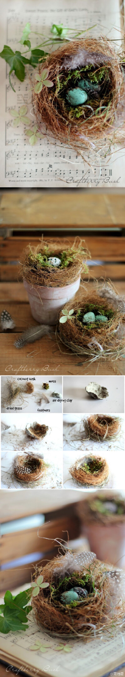 MAKING A REALISTIC BIRD’S NEST AND POLYMER CLAY EGG SPECIMEN#做一个逼真的鸟窝、鸟蛋标本。嘘…听见鸟鸣了吗︿(￣︶￣)︿