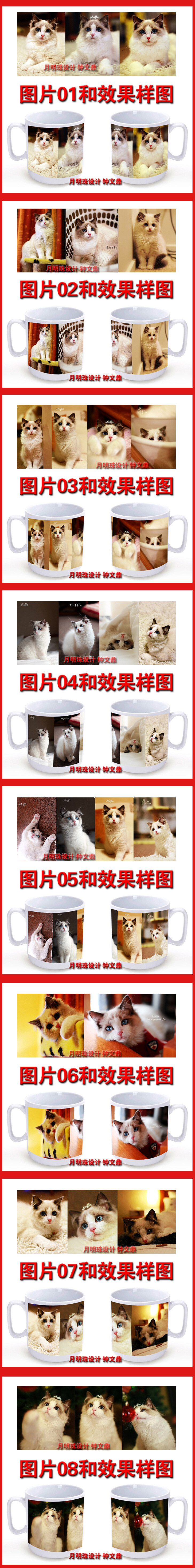 马克杯,喵星人 猫咪 新西兰的猫界小王纸 仙女猫 Muffie