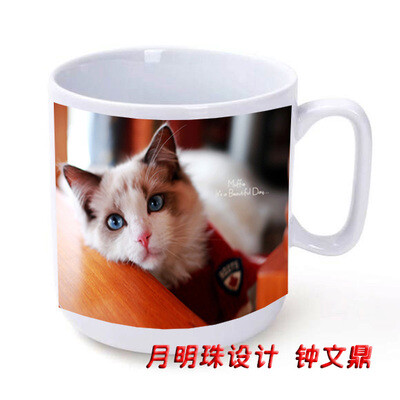 马克杯,喵星人 猫咪 新西兰的猫界小王纸 仙女猫 Muffie