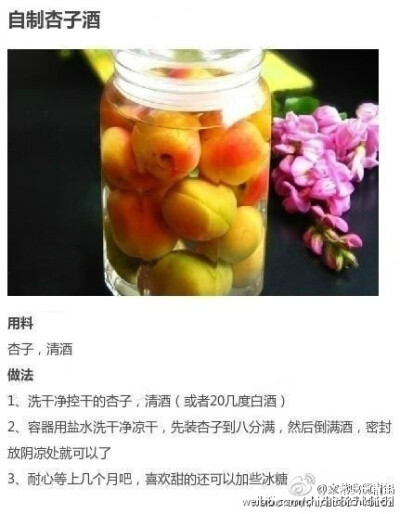 九款自酿水果酒！夏季必备清凉饮品 ~（net）