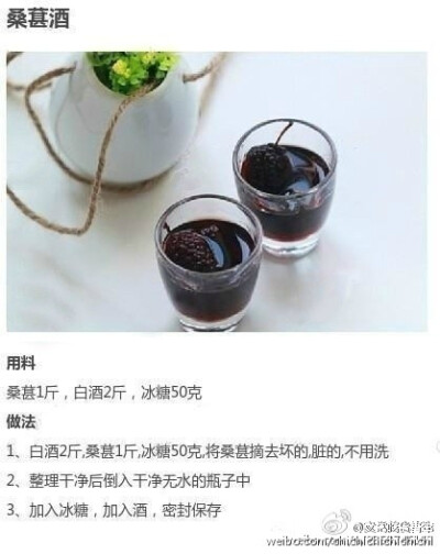 九款自酿水果酒！夏季必备清凉饮品 ~（net）