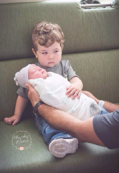 父母把新成员抱回家，这就是初遇时小家伙的眼神……