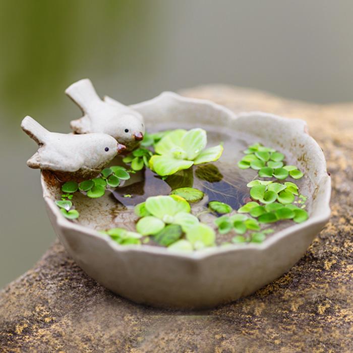 曼达拉的花园《嬉水》微景观生态盆栽器物 陶瓷小鸟水培植物 礼物