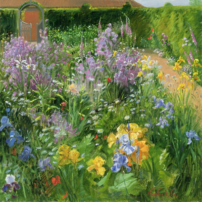 Timothy Easton | 夏日鸢尾