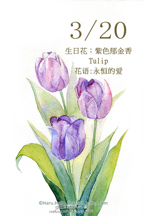 3月日の生日花 紫色郁金香 花语 永恒的爱花占卜 您拥有美丽的气质 喜欢追求爱情 积极维护两个人的世界 为了得到永恒的爱情 会不断地寻心目中的理想情人 一次又一次地恋爱 只要您提高自己的智慧 真爱就在不远处 其实 永恒的爱就在您对某个心仪的对像示爱时