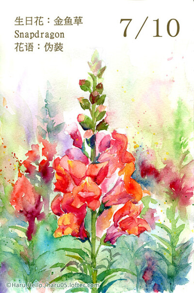 7.10 生日花：金魚草 Snapdragon 花語：偽裝 這種植物在日本的神戶時代因為花朵形狀像金魚，所以被人們取名為金魚草。 在歐洲則因為這種植物長得很像獅子或拳獅狗，而有不同的稱呼。因此它的花語是 －偽裝。