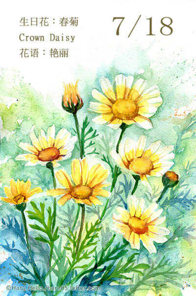 7.18 生日花：春菊（Crown Daisy） 花語(yǔ)：豔麗 在歐洲，特別是地中海東部地區(qū)，春菊是廣為人知的野生花。每年一到春天的 花期，就會(huì)開(kāi)出滿山遍野鮮黃色花朵，彷彿一塊美麗的地毯，因此它的花語(yǔ)就是－ 豔麗。