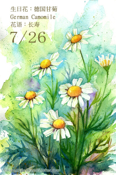 7.26 生日花：德國甘菊（German Camomile） 花語：長壽 德國甘菊是紀念聖母瑪利亞的母親－聖安的花朵，她以高齡仙逝。因此他的花 語是－長壽。