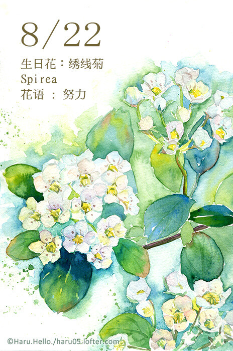 8月21日の生日花【绣线菊】 花语 : 努力 。您对自己的实力充满信心，处事果断勇敢，乾脆利落，绝不拖泥带水。您的态度是值得欣赏的，但太过独断会被人误会是个独裁的人，有时也要考虑别人的需要，毕境这个世界不是您一个人独有的。 花箴言 : 婚姻是需要互让的，您有这个信心吗？