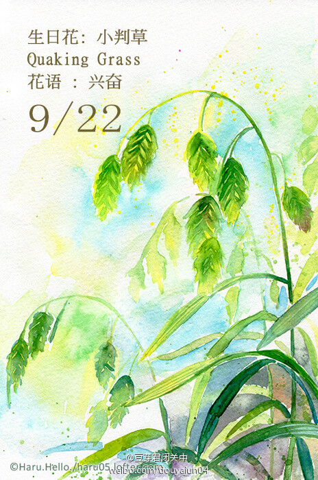 9月22日の生日花 小判草 花语 兴奋花占卜 您是一位好辩论 易激动的人 您最喜欢热闹 有时会得意忘形 乐极生悲 事後後悔不已 虽然您的理解能力很高 但处事冲动 久缺周详的计划 难有好结果 尤其是感情 爱是需要互谅互让 不是听您说道理的 堆糖 美图壁纸