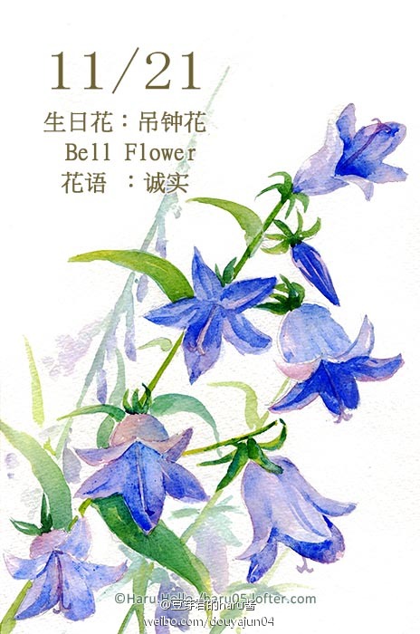 11月21日の生日花【吊钟花】花语: 诚实 忍耐力强，处事平稳踏实是您做人的原则。您凡事尽心而为，所以甚得朋友及上司的信赖。但在爱情上似 乎没有什麼进帐，这与您的疑心重有关。大胆与人交往吧，应该找到您的另一半。 冒险地谈一次恋爱，是成长的必经之路。