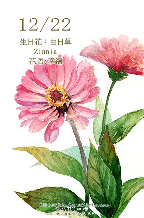 12月22日の生日花 百日草 花语 幸福花占卜 您是个娇生惯养的可人儿 生命中有享不完的幸福 惹人注视的您害怕寂寞 因此您很重视友情 最担心友谊日趋淡薄 另外 您有很多机会谈恋爱 应该是不愁寂寞的人 花箴言 爱花的人 自有惜花之人 冬至快乐