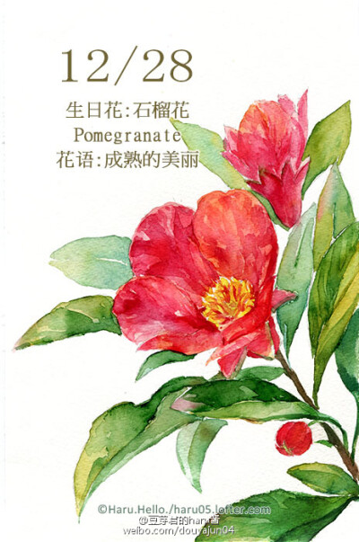 爱好而已 生日花 堆糖 美图壁纸兴趣社区