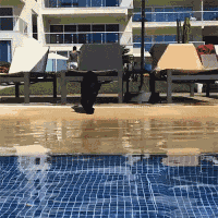 卧槽！ 没人跟我说过这水有那么深啊啊啊啊！ 吓死爹了。。。 k收起 f查看大图 m向左旋转 n向右旋转 7月11日 21:09 来自 微博 weibo.com