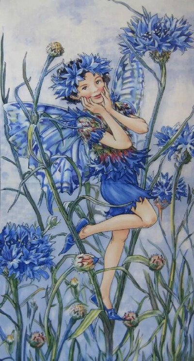 Cicely Mary Barker花仙子插画系列，满满的治愈。