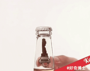 新技能 get，教你不用开瓶器也可以轻松开啤酒