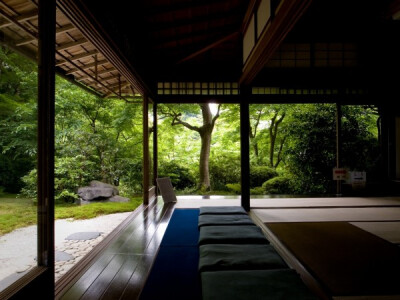 原木 和风风格 天然 实景图 日式风格 木系装修 环保 绿色 自然 自然风格