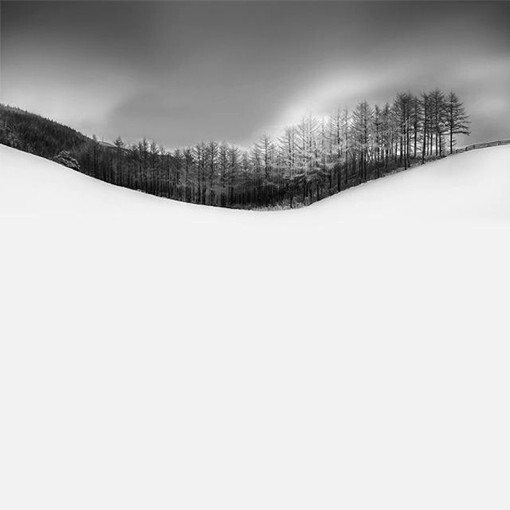 冬季冬天野外风光摄影图片