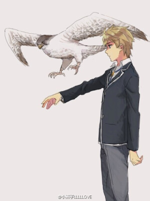 #我的青春恋爱物语果然有问题##自汉化##叶八#id=49879504+45122819 叶八安利给我吃啊啊啊啊啊！！！！这种互相讨厌又十分在意对方的关系简直太美味了PS:大老师的狐狸好帅气