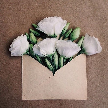 The envelope series——一封用花写的情书｜来自乌克兰艺术家Anna Remarchuk
