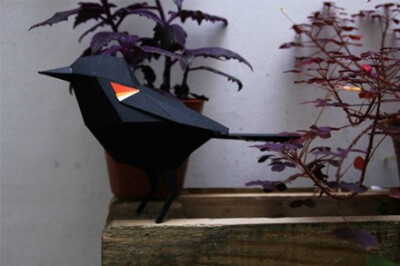 来自阿根廷Estudio Guardabosques工作室的纸艺作品。