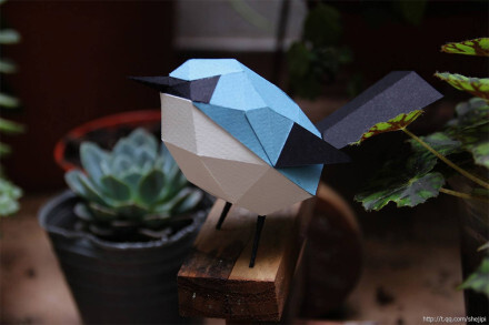 来自阿根廷Estudio Guardabosques工作室的纸艺作品。