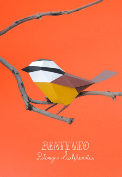 来自阿根廷Estudio Guardabosques工作室的纸艺作品。