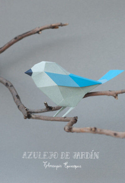 来自阿根廷Estudio Guardabosques工作室的纸艺作品。