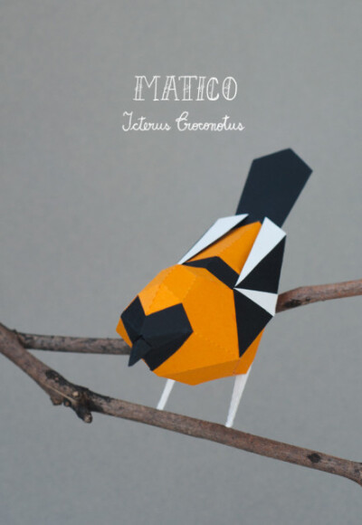 来自阿根廷Estudio Guardabosques工作室的纸艺作品。