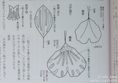 饭田伦子兰花合集里的内页和纸型