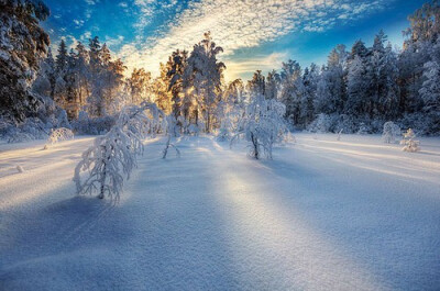 为夏天增加一份凉爽！冬天雪景拍摄技巧