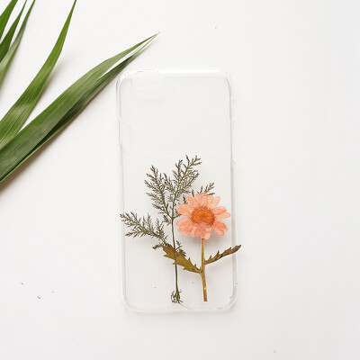 原创手工制作滴胶真花干花手机壳定制iPhone5s6plus青蒿松粉雏菊