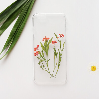 独家定制手作DIY花朵干花永生花手机壳透明小清新iPhone6绿叶红花