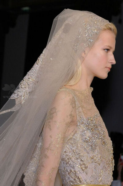 Elie Saab veil