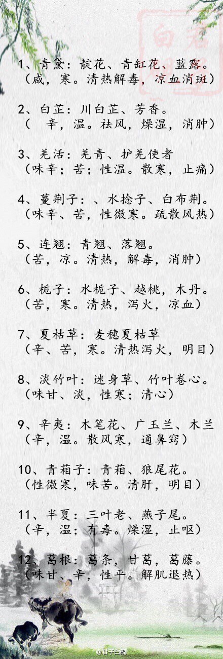 盘点100个极美的中药名，云华、羽涅、辛夷、白芷、青黛、半夏、剪秋、沉香、君迁子、当归、荆芥、枳实……你喜欢哪个？收下涨知识！！