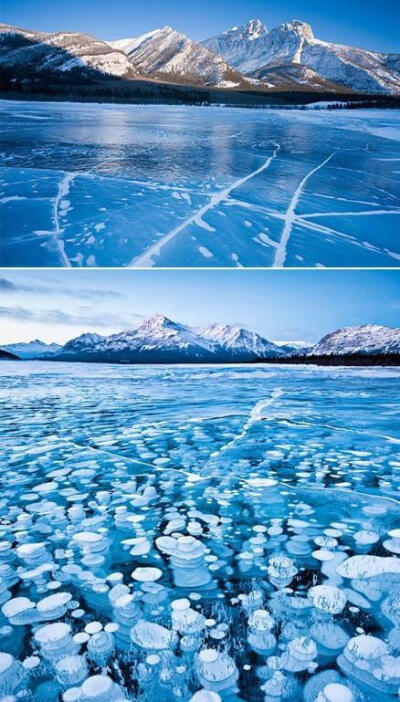 [加拿大的迷人冰湖] 为了探索奇景，摄影师冒着零下数十度的严寒和狂风，前往加拿大西北部地区，拍摄了这一色彩绚丽、景色壮观的“冰湖”照片，气泡不再是瞬间。他的系列照片也获得了美国国家地理旅行者摄影大奖。