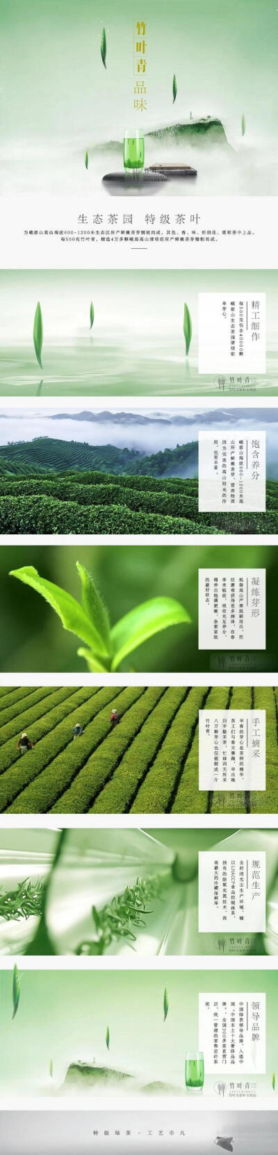 【竹叶青- 品味】2015年春茶明前新茶绿茶叶嫩芽 自饮装100g-tmall.com天猫