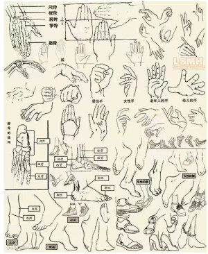 #SAI资源库# 手的画法系列教程，细手美男手绘制过程及一些思路借鉴，有兴趣的可以练习一下，转需吧~