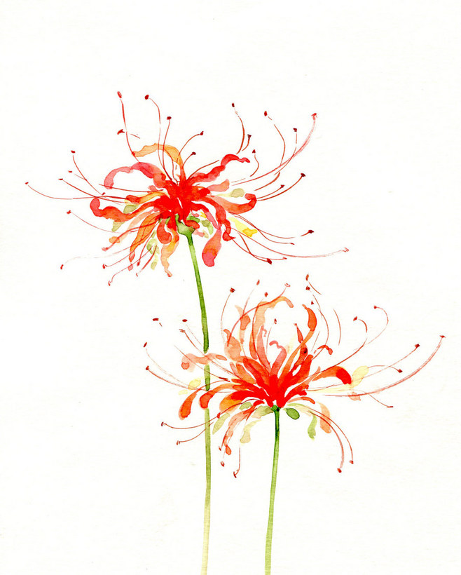 倾言 如果等待可以换来奇迹，我愿意一直...