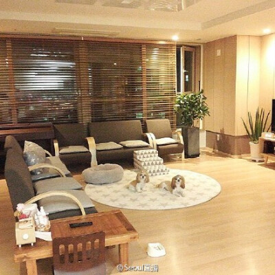 客厅风格