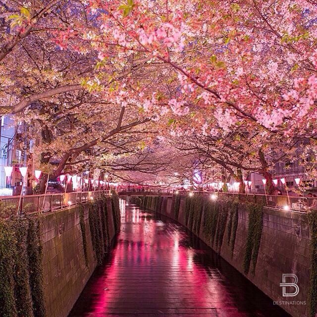 Tokyo, Japan