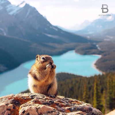 Peyto Lake, AB, Canada