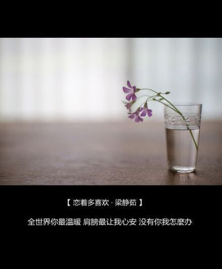 关于分手的歌曲的歌词文字图片