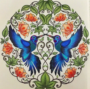 插画 -设计-动漫-植物-艺术-配色-涂色本-秘密花园-奇幻梦境-魔法森林-色彩方案-手绘-设计-色卡 -ColorView -配色-参考-素材