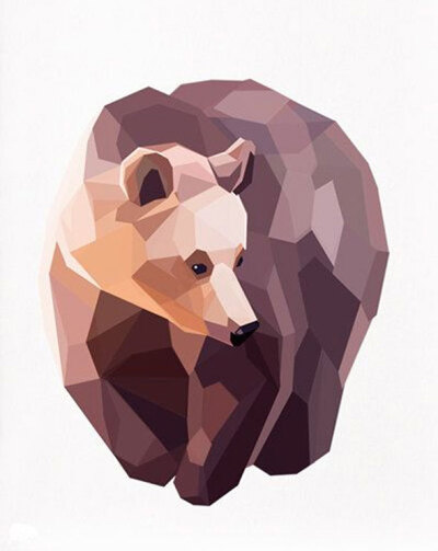 Geometric-illustration-Brown-Bear-Animal-by-TinyKiwiCreation