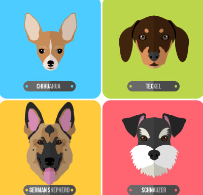4款卡通宠物狗头像矢量素材，素材格式：AI，素材关键词：头像,吉娃娃,泰克尔犬,迷你腊肠犬,德国牧羊犬,雪纳瑞,宠物狗