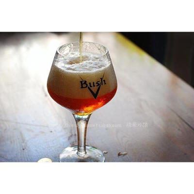 配在一起才完美 Bush Beer Glass 布什啤酒专用杯 比利时进口